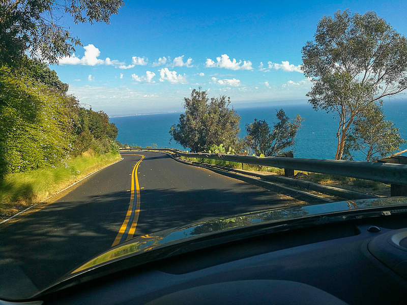 37109047141_f35d02c29c_c