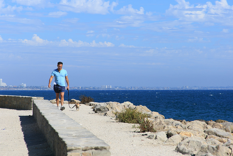 37199434665_832fb03c34_c