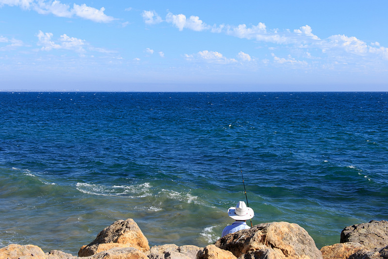 37199434855_bb6a0125f4_c